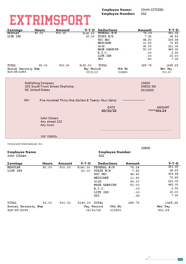 Download extrim sport company fully editable earning statement in Word and PDF formats Photoshop template
